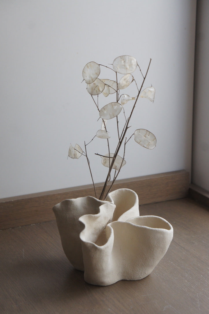 Little Cape Jasmine